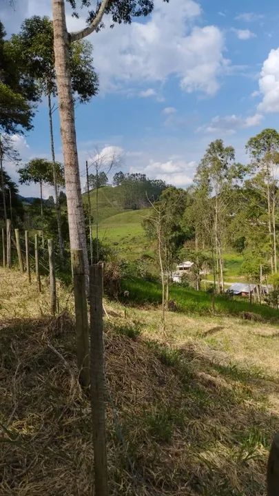 Terreno Patrimônio da Penha (Caparaó Capixaba) - Foto 3