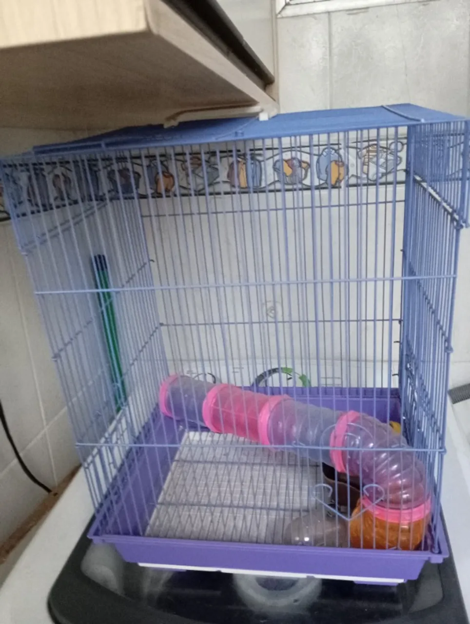 Gaiola para Hamster com acessórios