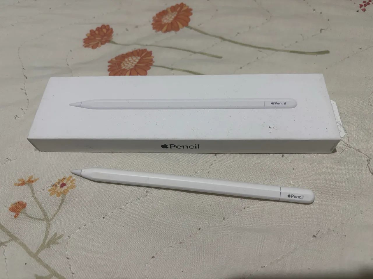 Apple Pencil USB-C - Acessórios de Celular - Dom Pedro I, Manaus