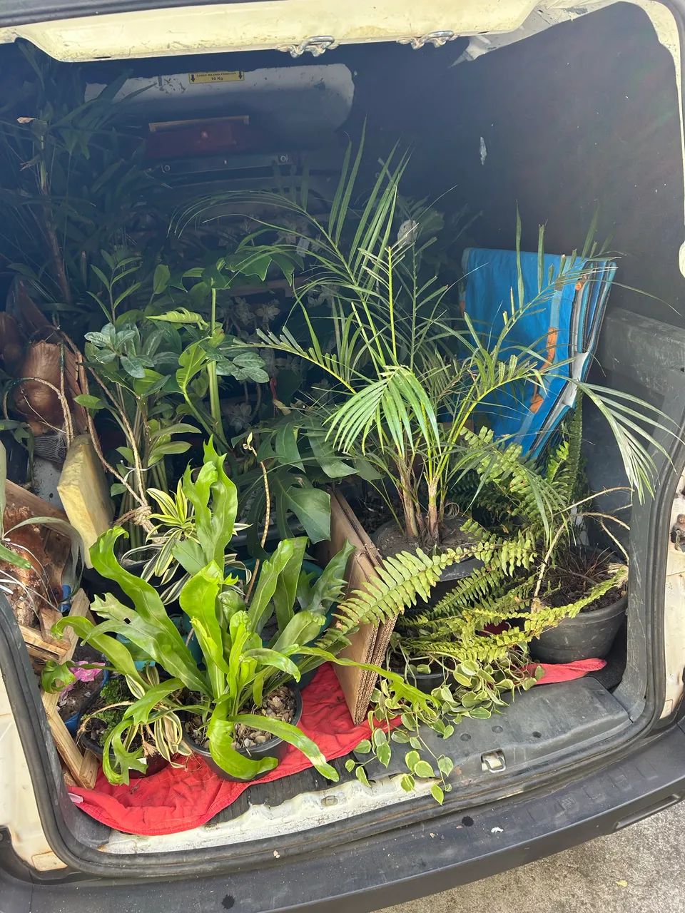 Fretes, carretos e pequenas mudanças - Preço acessível - Foto 2