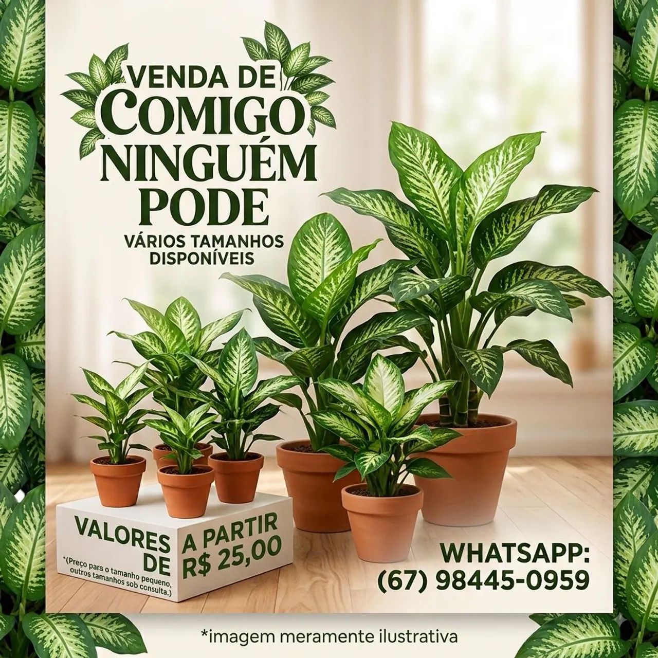 Comigo Ninguém Pode