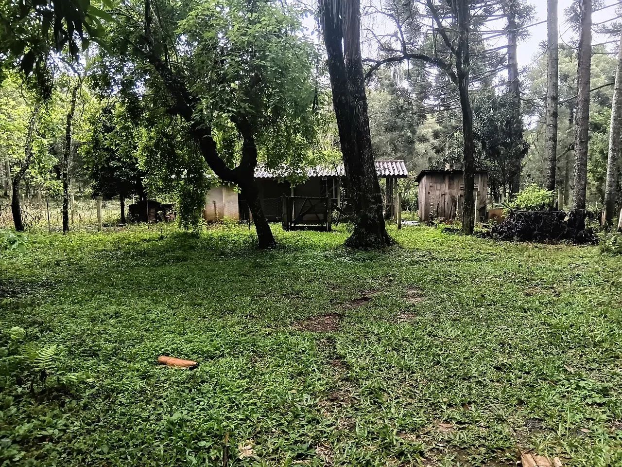 Venda terreno 30.000 - Foto 5