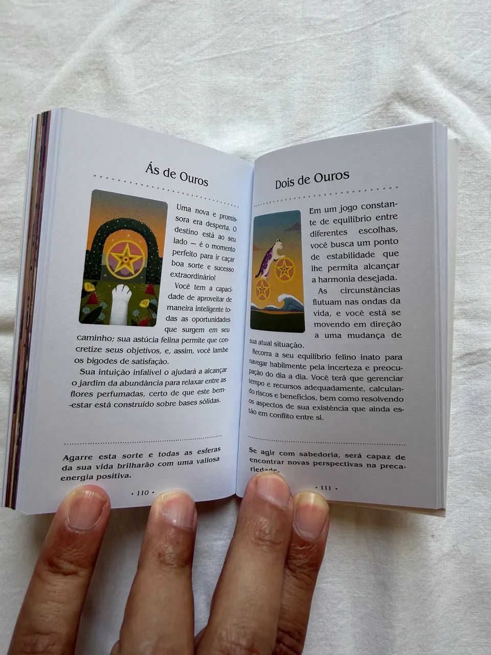 TARÔ DOS GATOS MÍSTICOS - livreto + cartas - Foto 3