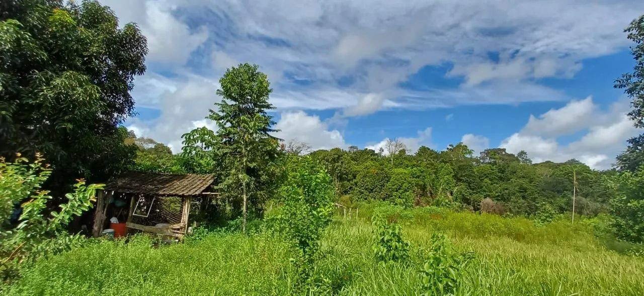 Vendo ou troco Terreno  - Foto 2