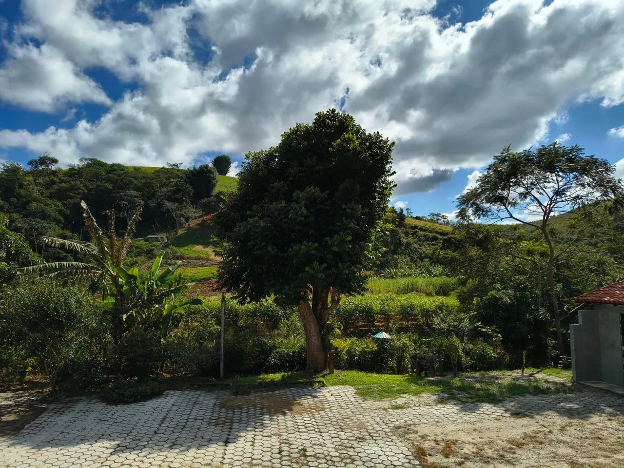 Sito a venda .... - Foto 5