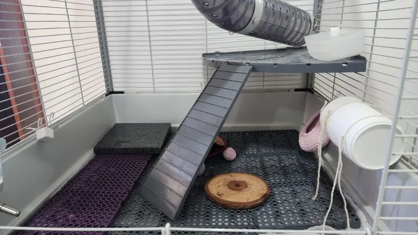 Gaiola Furet Tower Ferplast de 2 andares (para furão, rato twister) - Foto 3