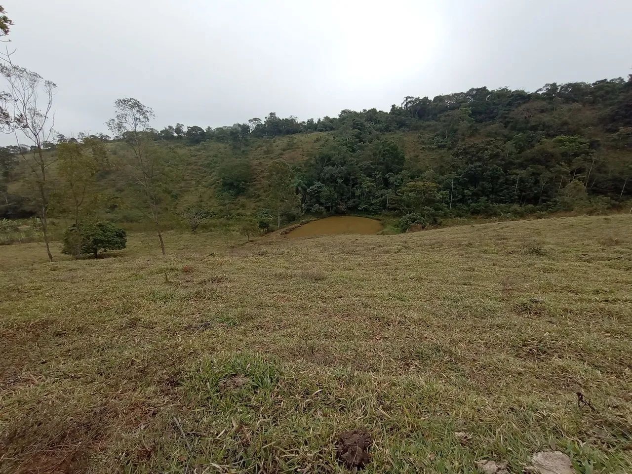Chácara Rancho Novo  - Foto 3