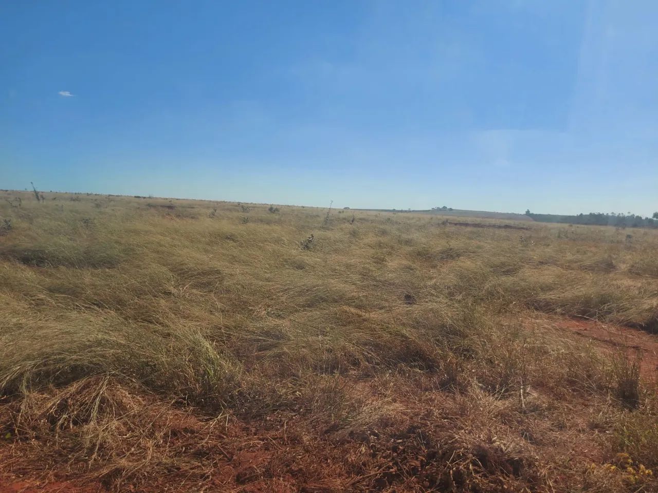 Fazenda dupla aptidão municípios do Prata  - Foto 3