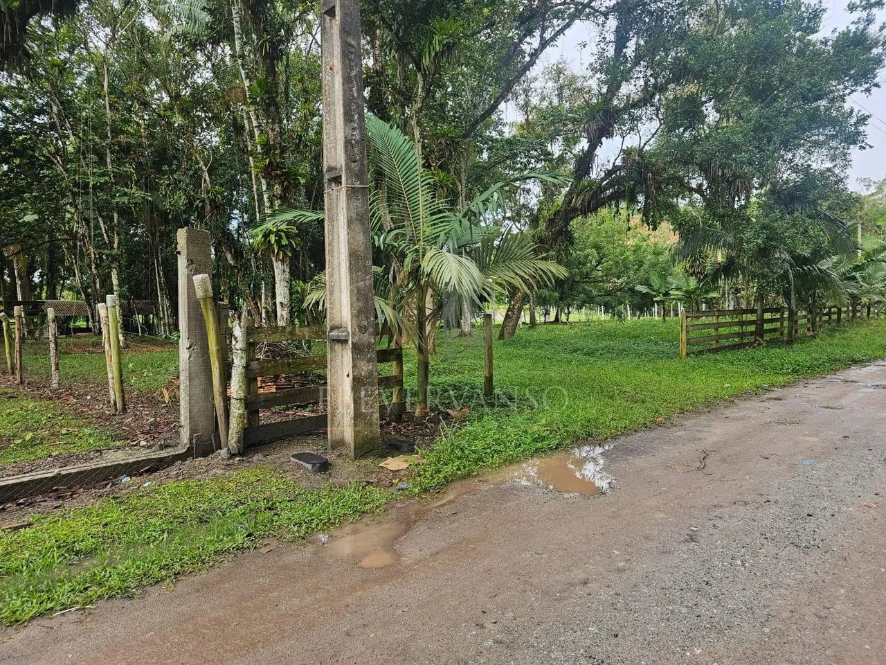 Chácara - Guaratuba, PR - Foto 3