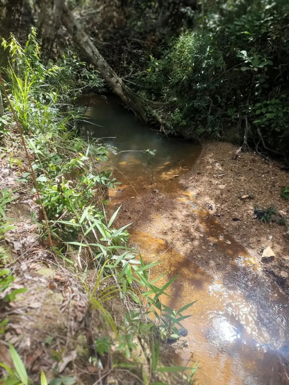 Foto - Santo Antônio do Descoberto - Vila Cortes