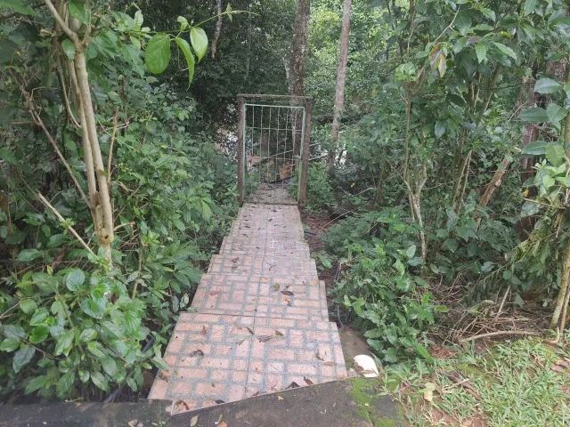 ? CHÁCARA COM RIO PIRACANJUBA PASSANDO DENTRO DA PROPRIEDADE - Foto 3