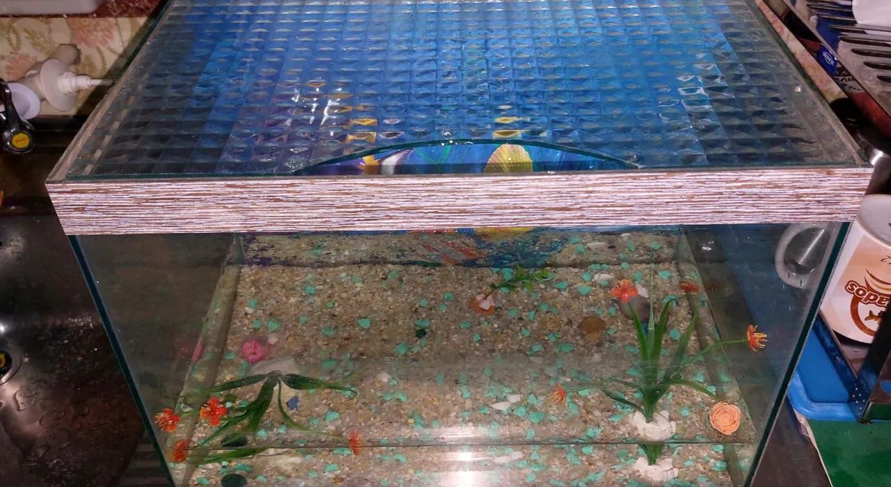 Aquario