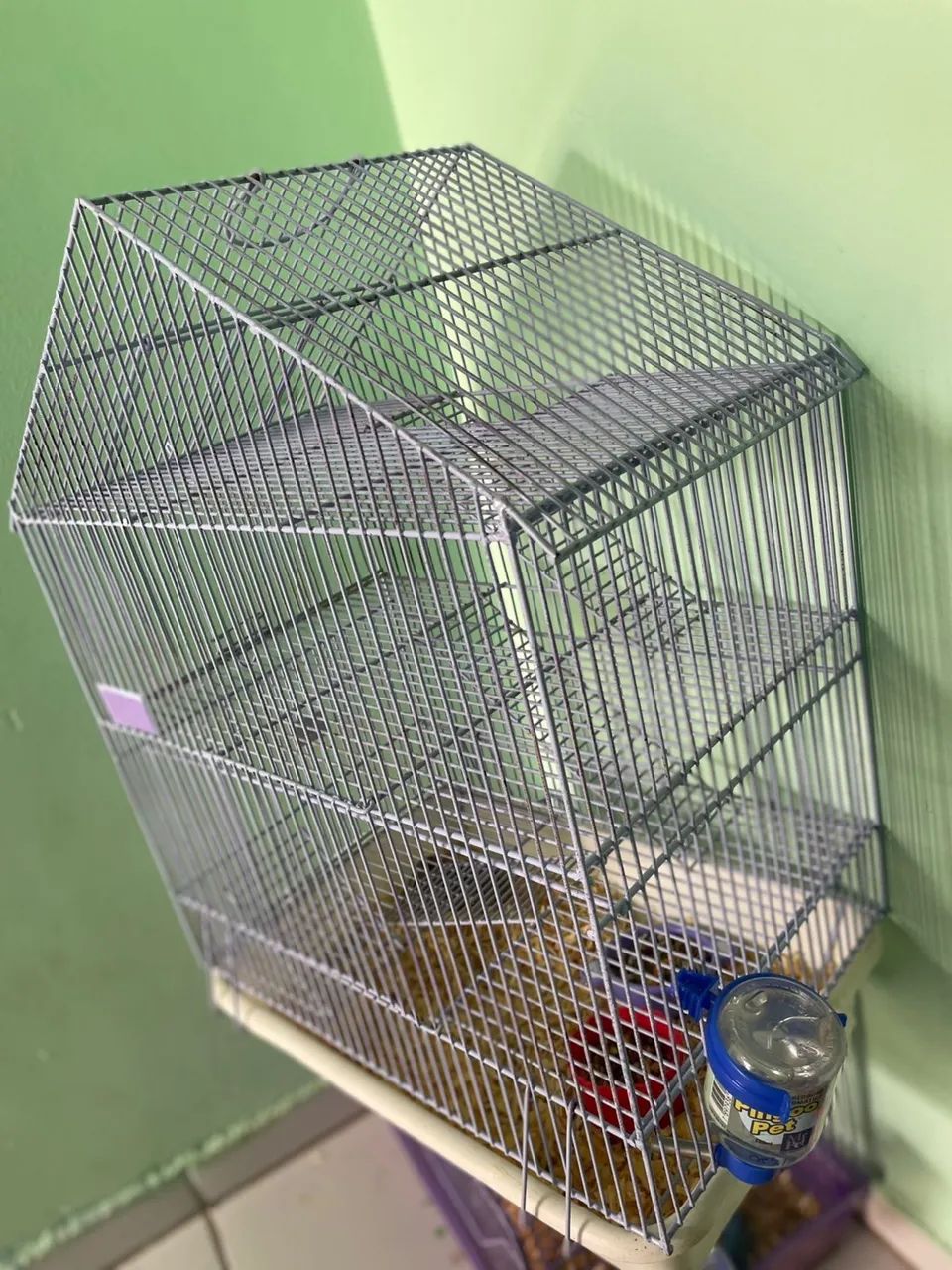 Hamister anão russo mais gaiolas  - Foto 3