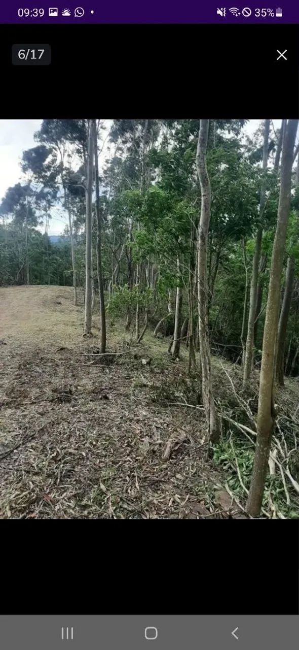 Oportunidade condomínio Terreno, tipo sítio!!! - Foto 4