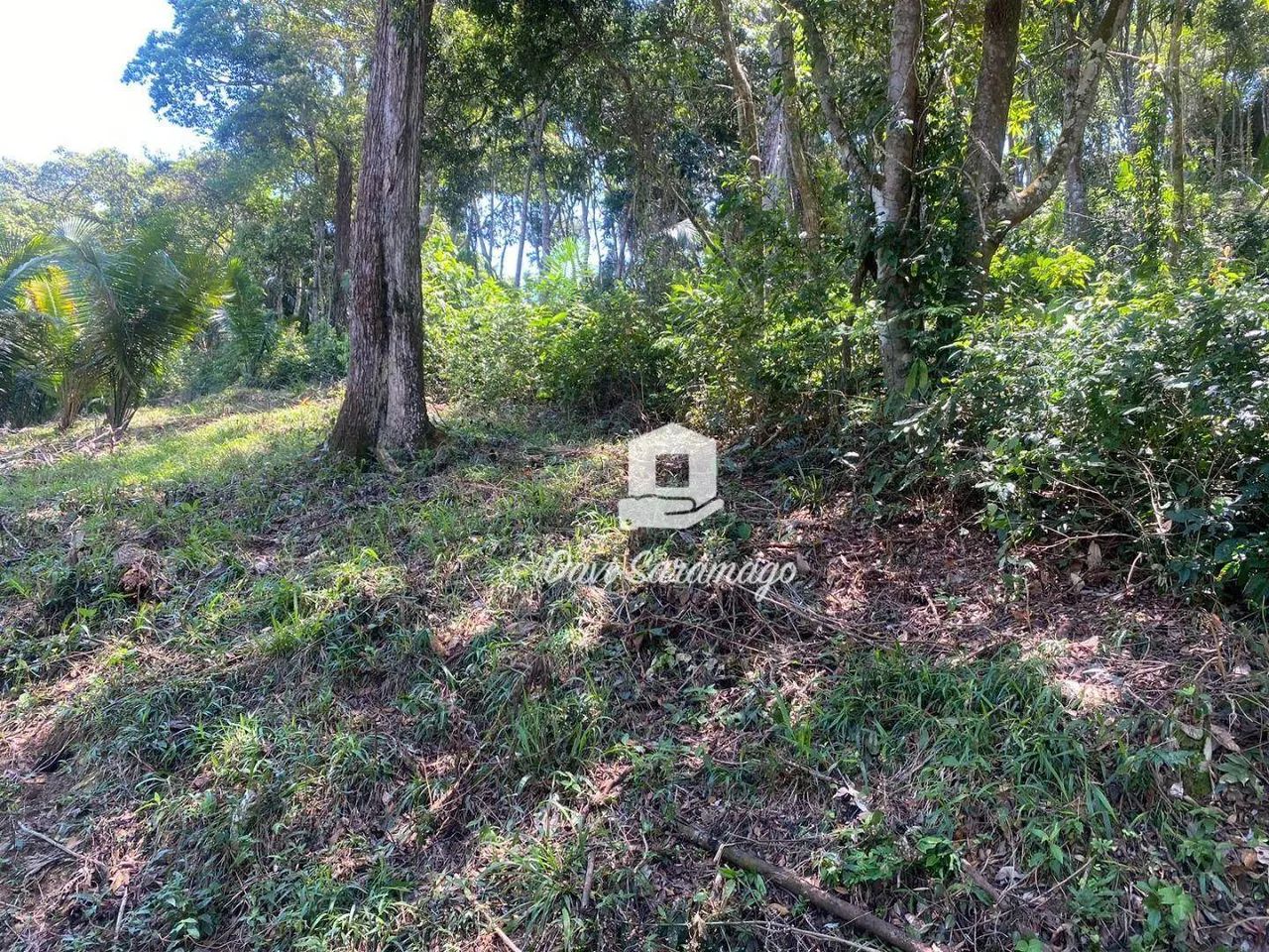Terreno à venda, 5000 m² - Várzea das Moças - Foto 4
