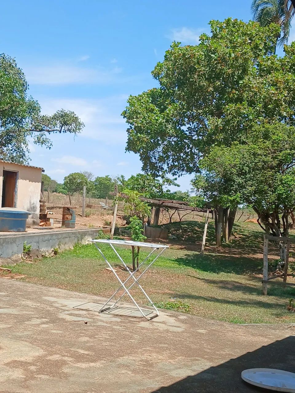 Vaqueiro disponível 