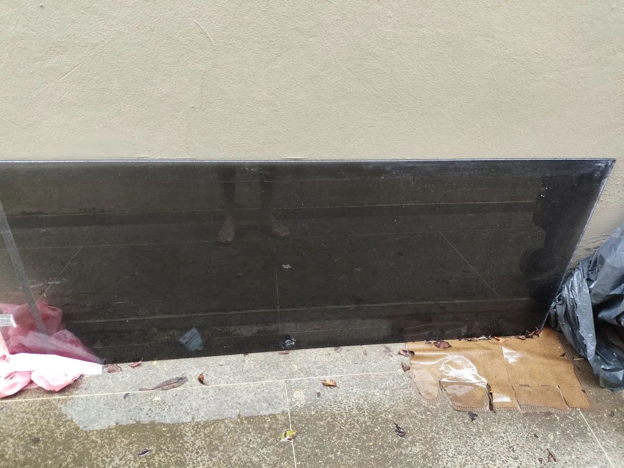 Shower Door64985875056643121