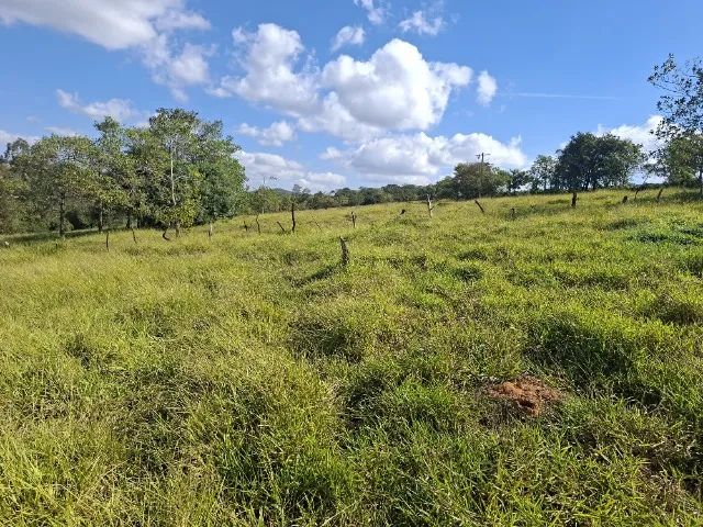 Vende-se chácara a 23 kms de Patrocinio - Foto 5