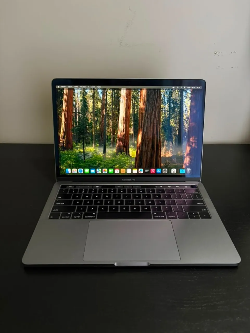 MacBook Pro (Retina, 13-inch, Mid 2014) 256 GB SSD - Notebooks