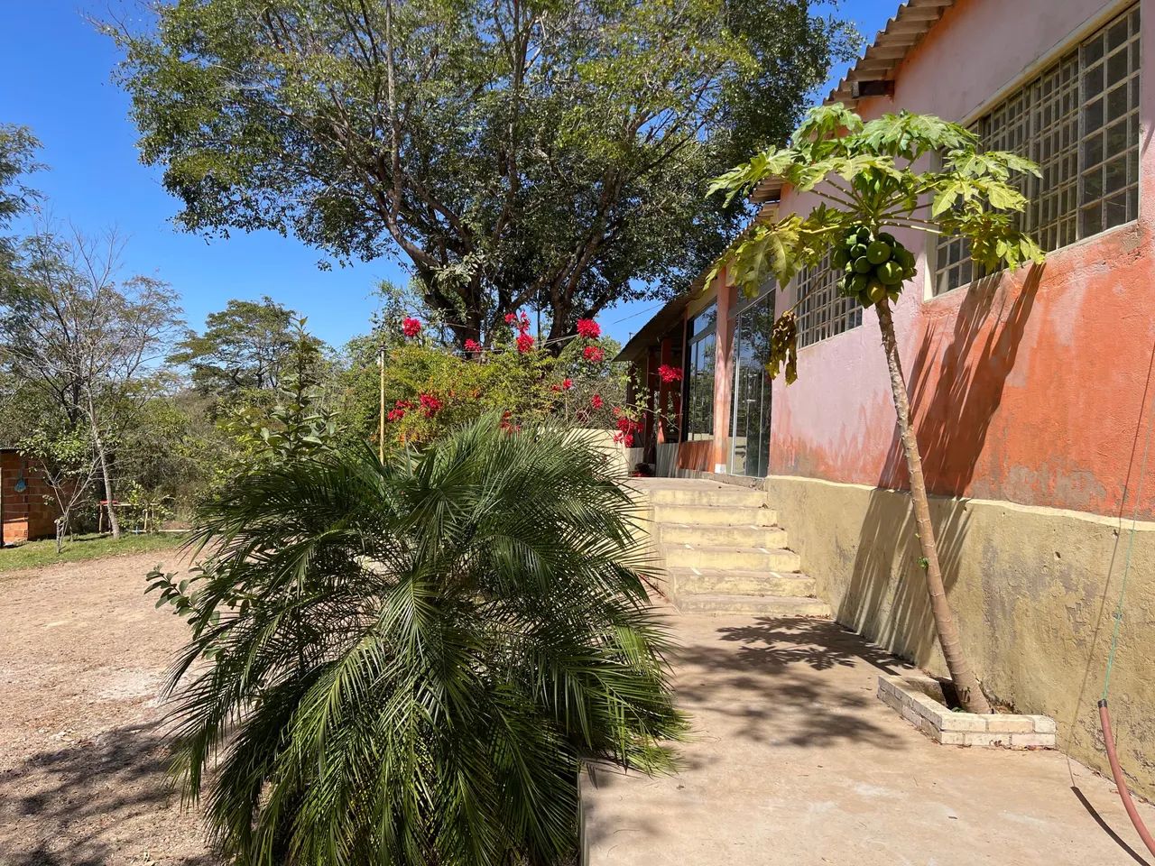 Foto - Brasília - Samambaia Sul (Samambaia)