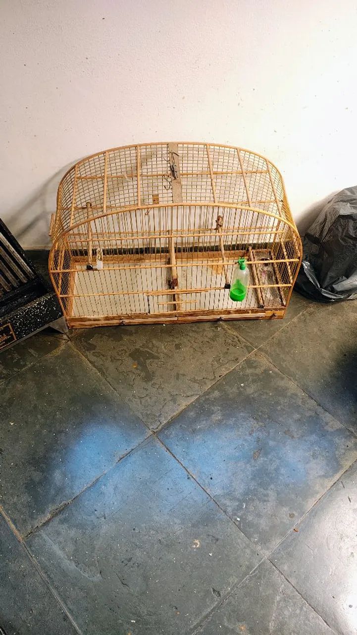 Gaiola voadora voador - Foto 2