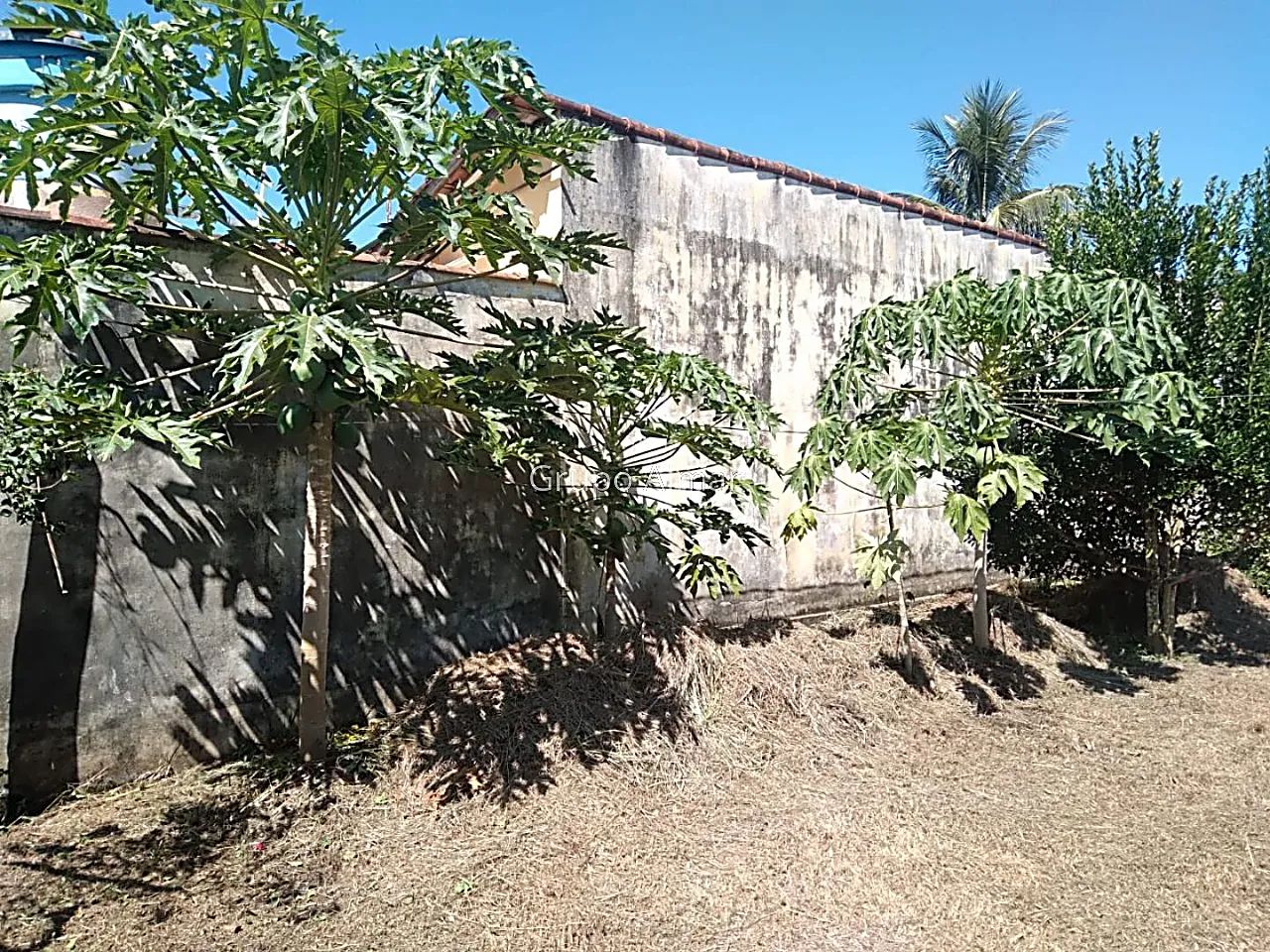 Casa 2 quartos - Progresso - Foto 5
