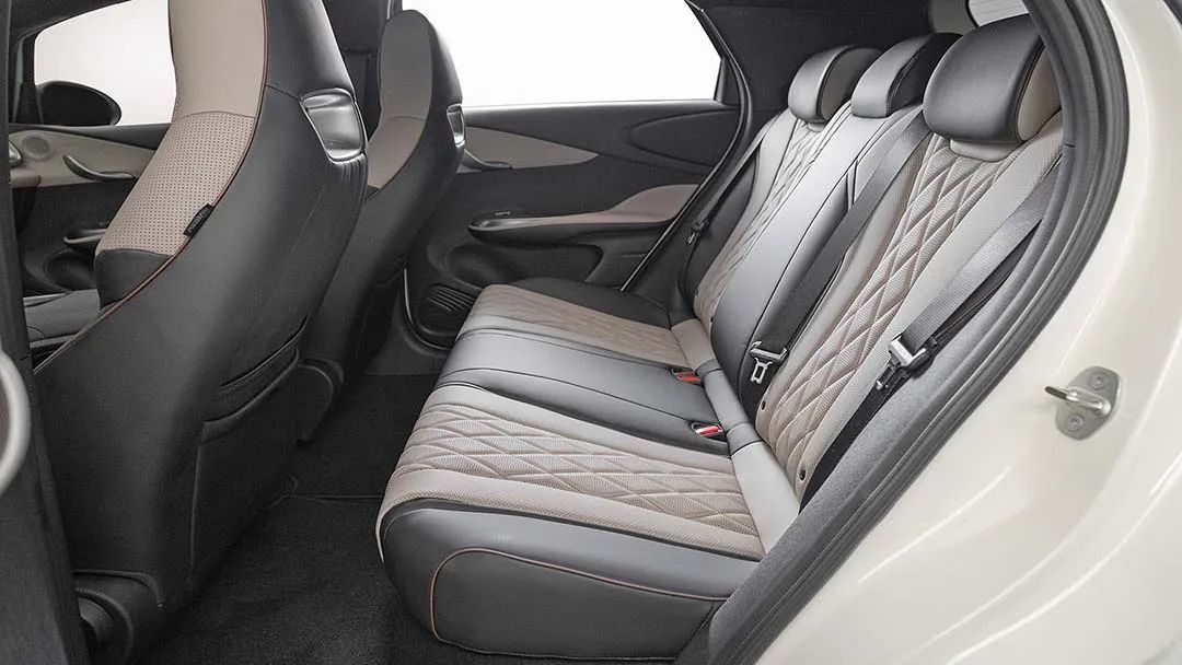 BYD Dolphin GS (Elétrico) 2026 - Foto 4