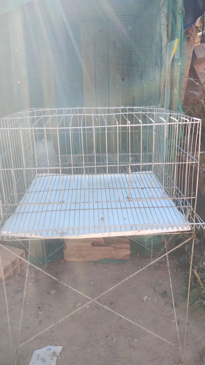 Vende se codorna  - Foto 2