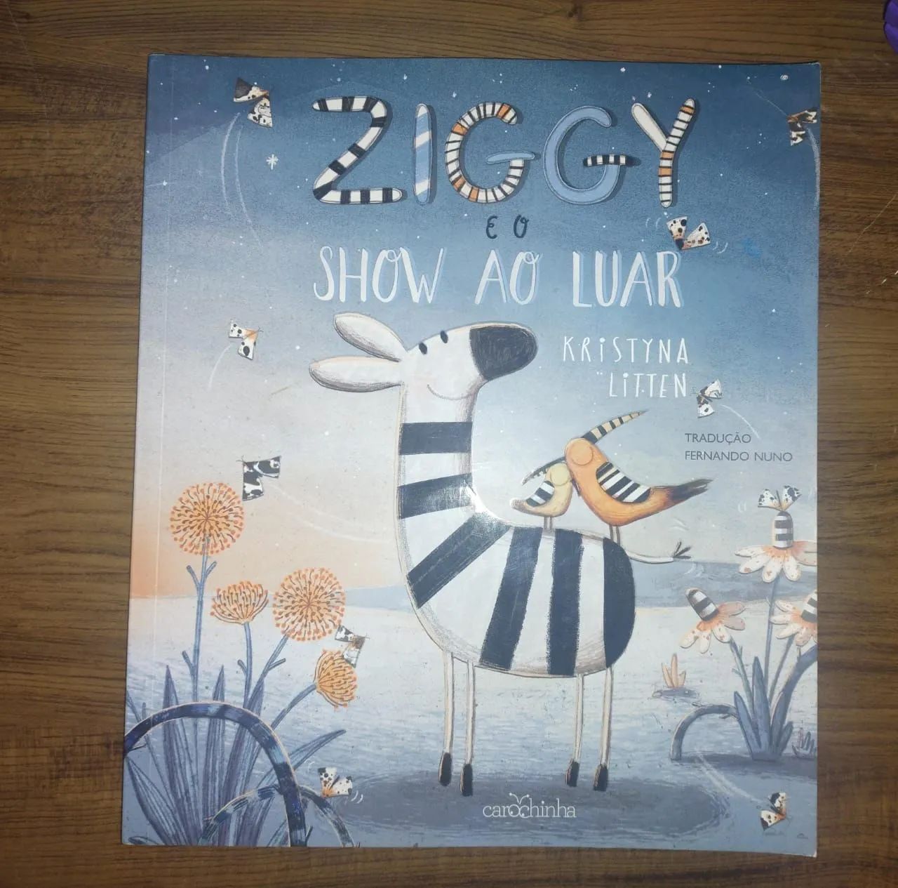 Livro Ziggy e o  Show ao Luar