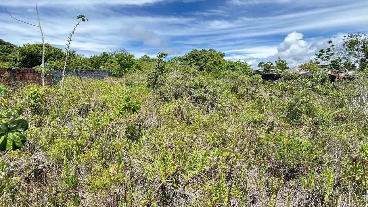 ÁREA EM CATU COM 1440m2 - Foto 3