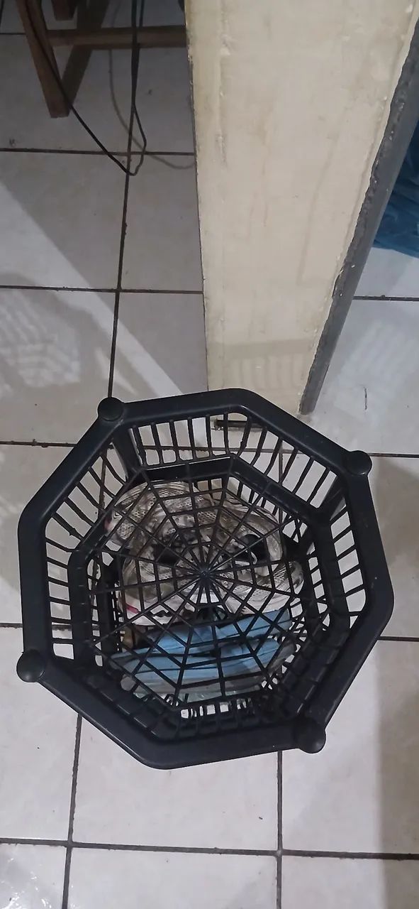 Fruteira de Plástico  - Foto 3