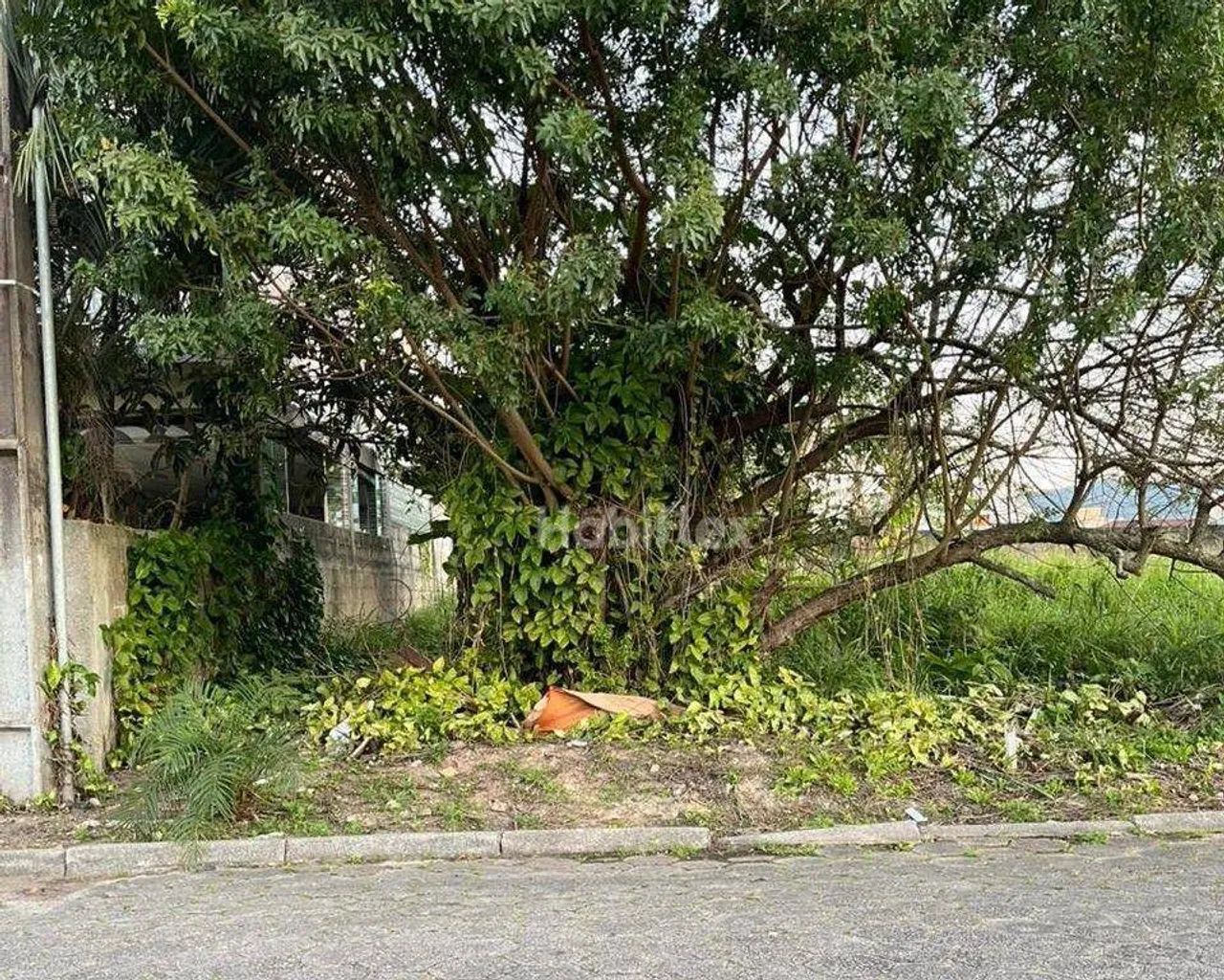 Terreno à venda, 720 m² - Carianos - Florianópolis/SC - Foto 4