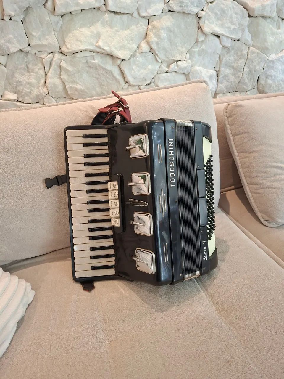 Acordeon todeschini super 5 - Instrumentos musicais - Real Parque