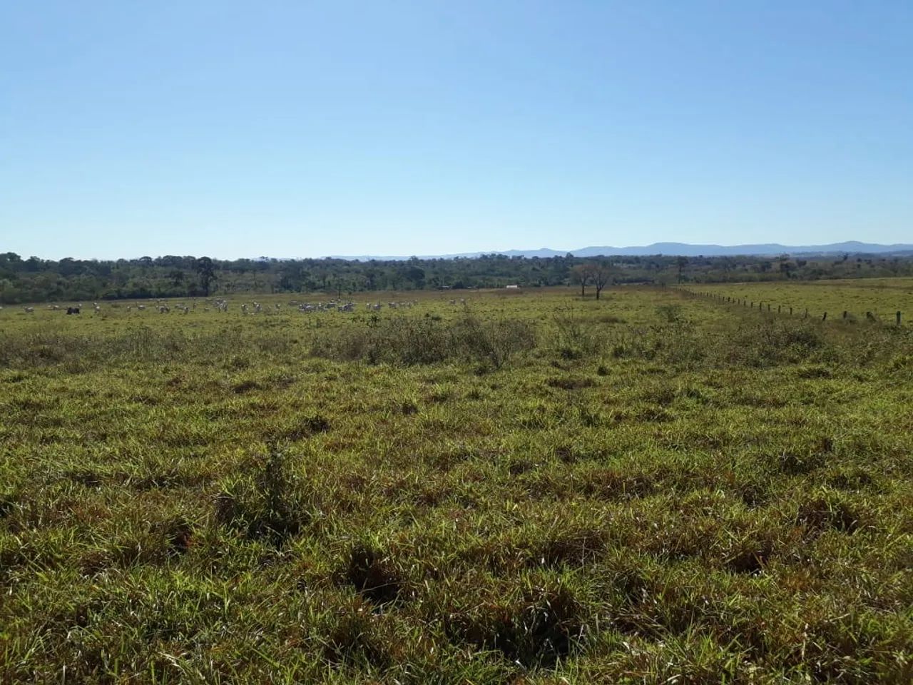 Fazenda em Divinópolis TO - Foto 2