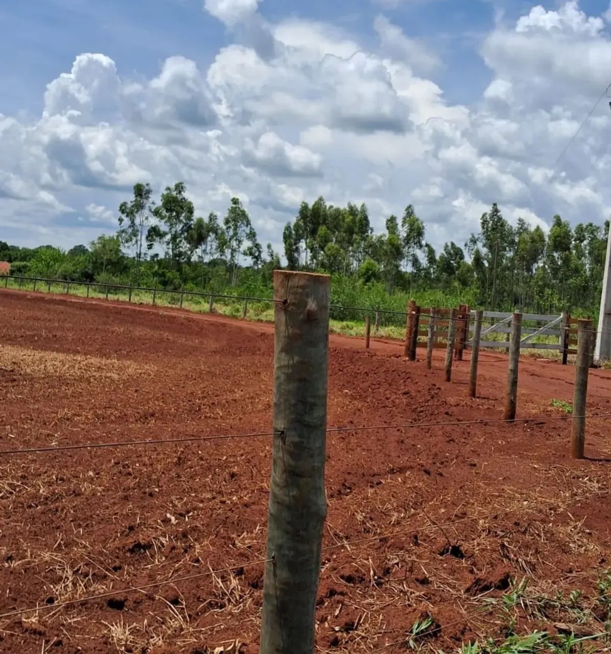 CÓD 582 | Chácara 2,5 ha  Região Gameleira | Campo Grande/MS - Foto 4