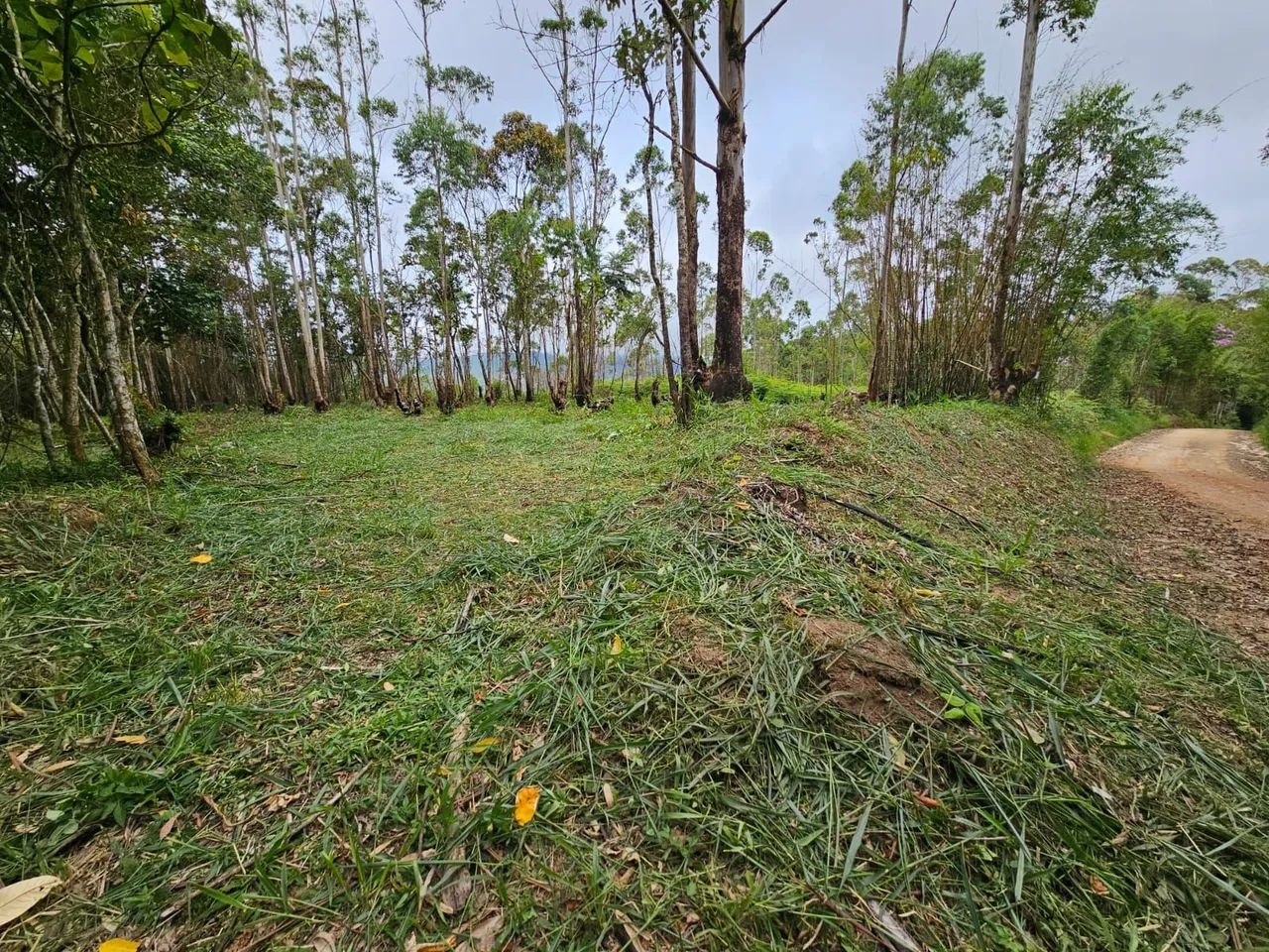 Sitios documentados em Taiaçupeba Mogi das Cruzes  - Foto 4