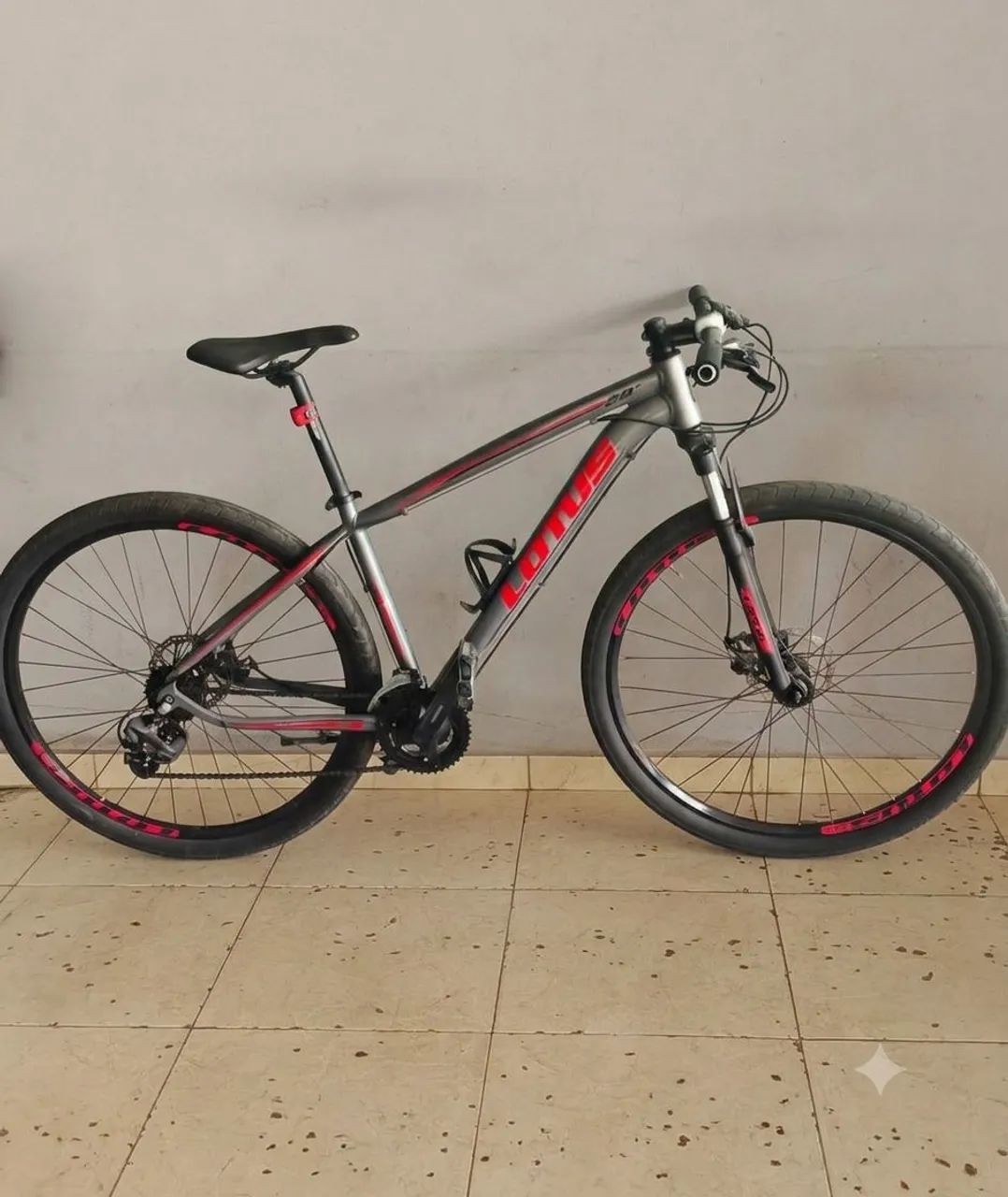 Bicicleta Lotus Aro 29