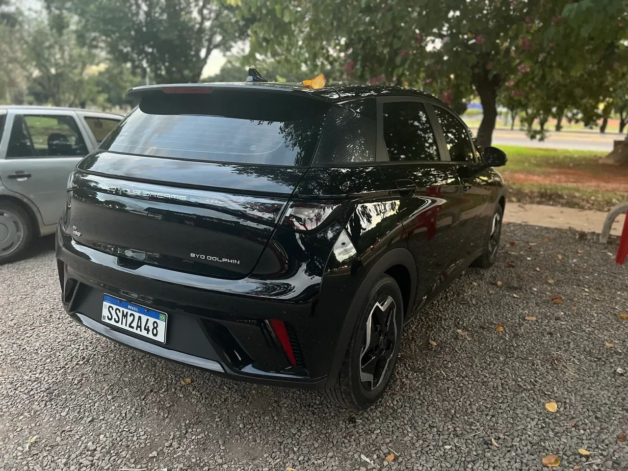 BYD Dolphin EV (Elétrico) 2024 - Foto 2