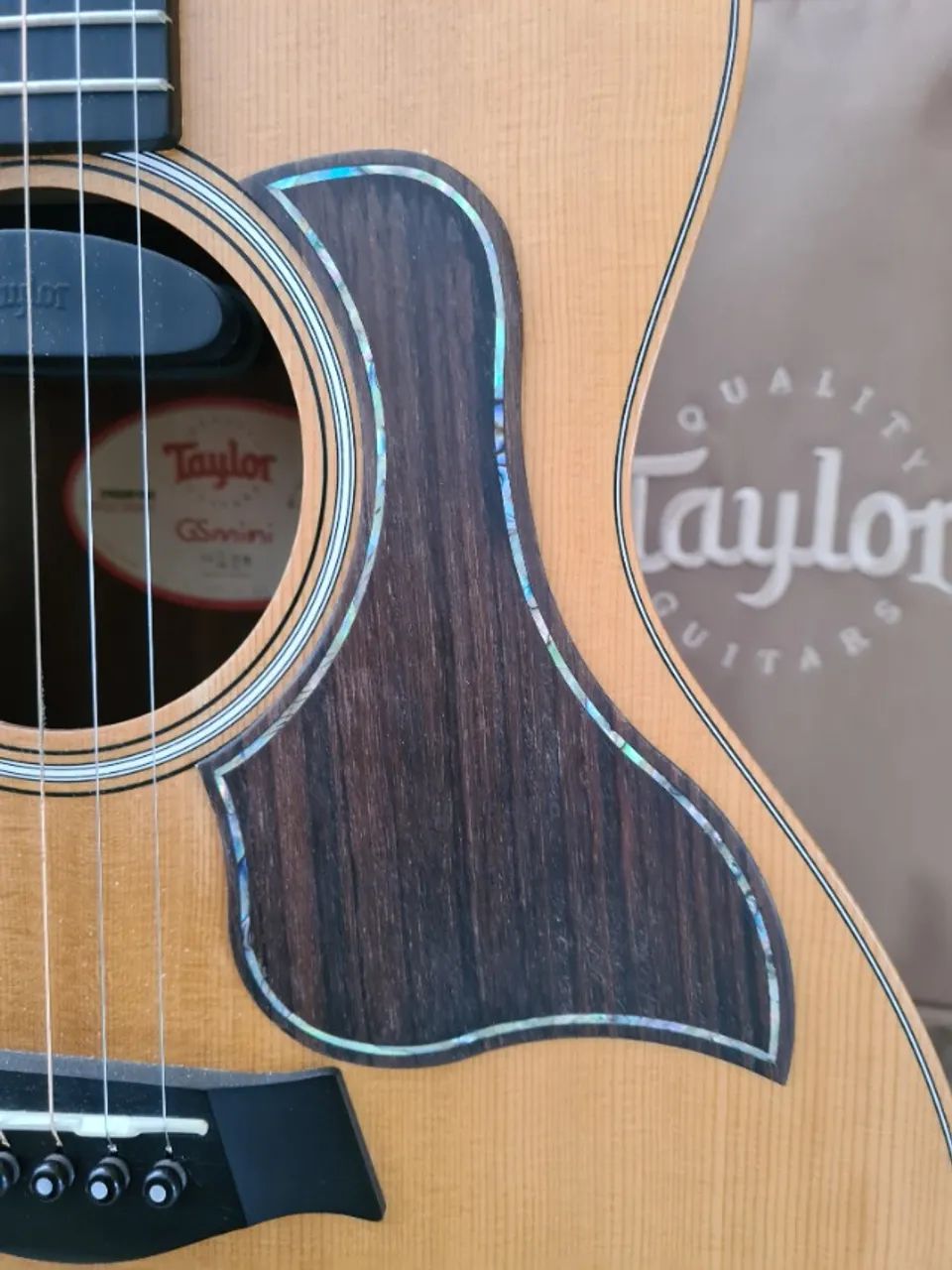 Taylor GS MINI todo modificado - Foto 3