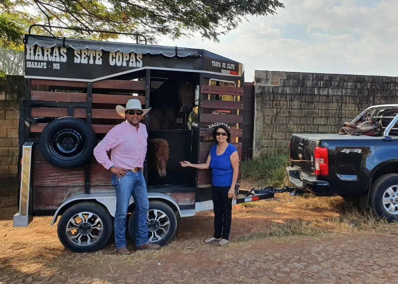 Carretinha Cavalo  - Foto 5