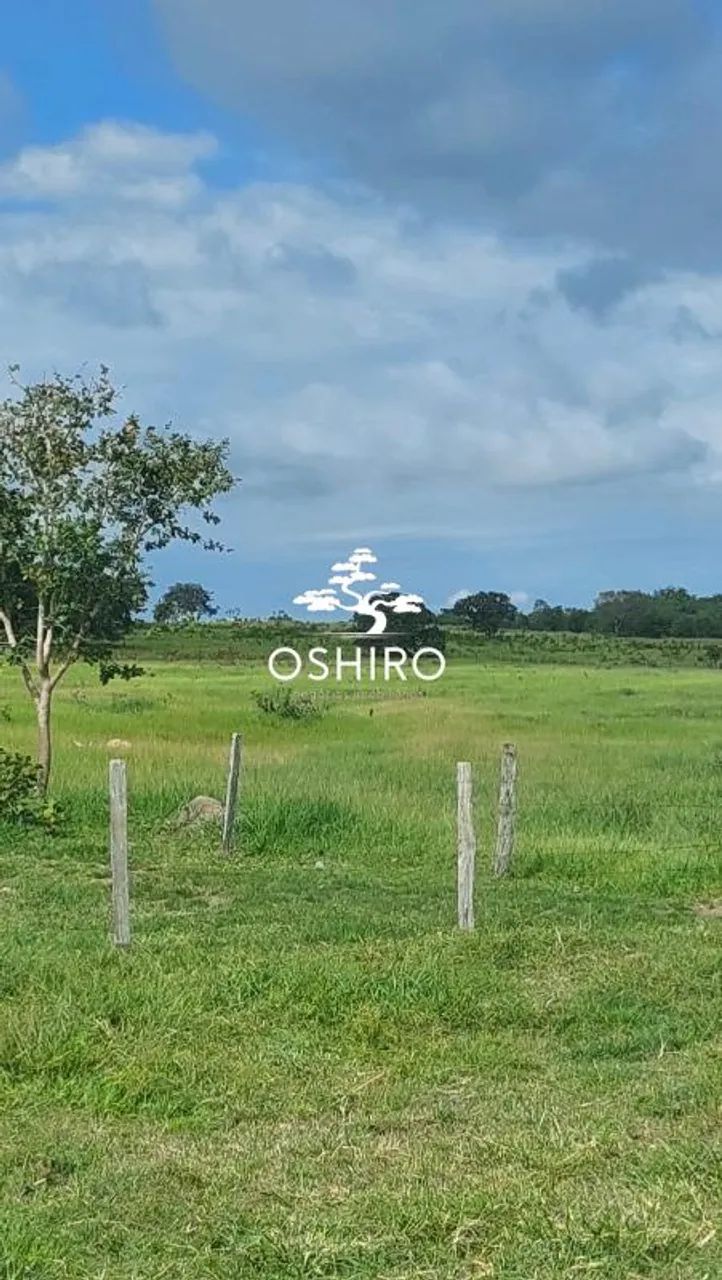 FAZ. DUPLA APTIDÃO EM TORIXORÉU -MT - NIL. CÓD. 15371 - Foto 5