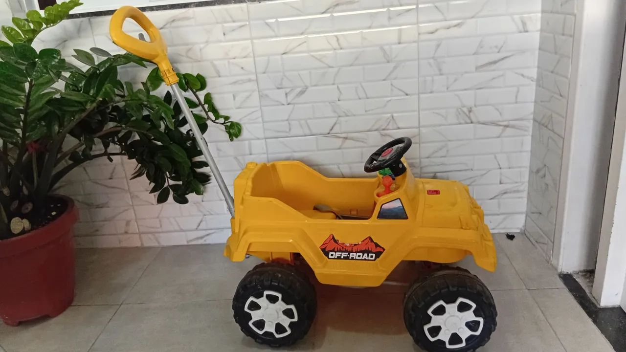 Carrinho bandeirante passeio e pedal