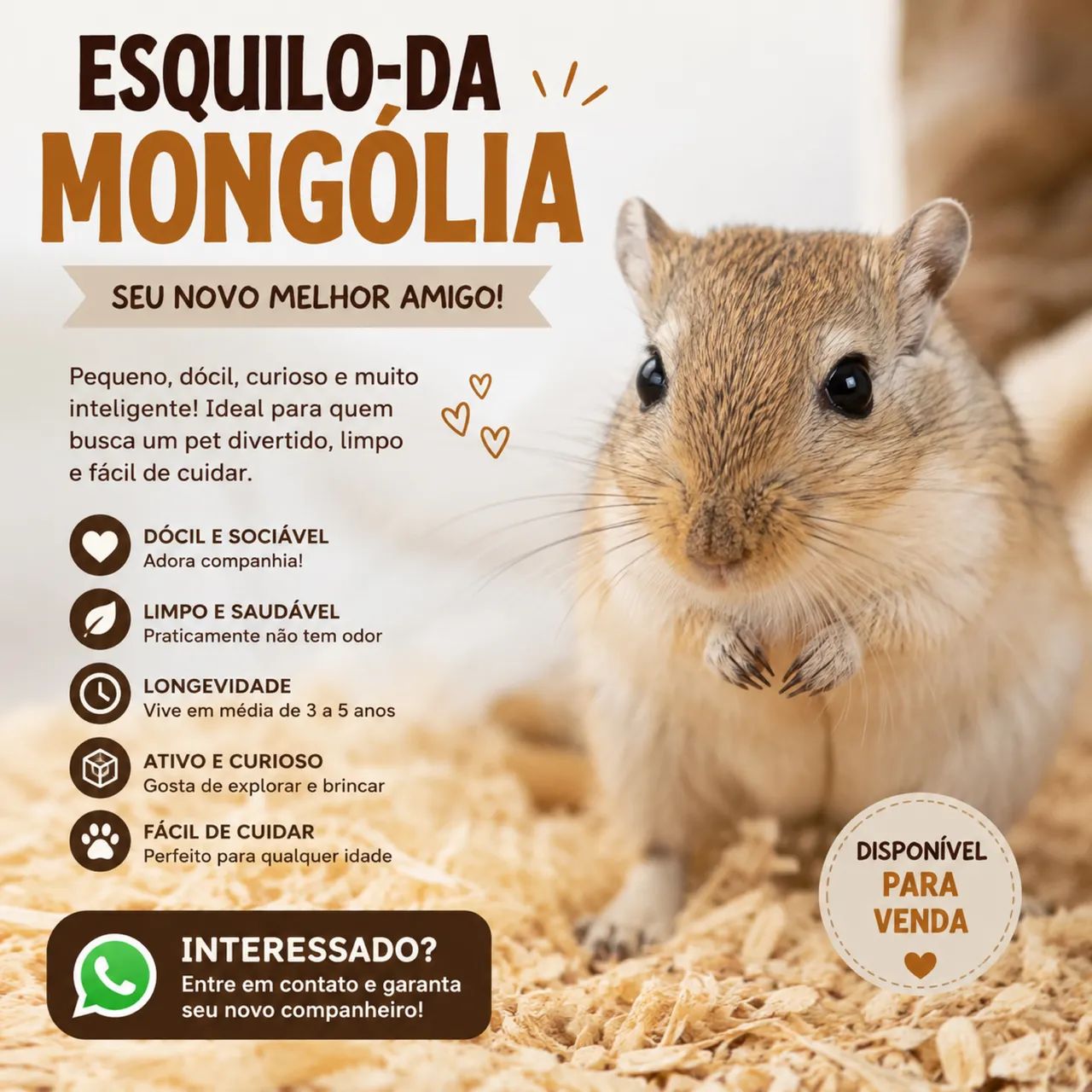 Esquilo da Mangólia 