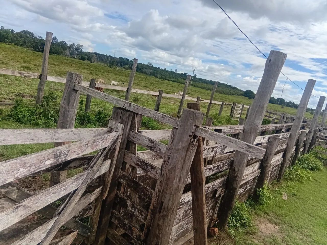 Terra a venda - Foto 4