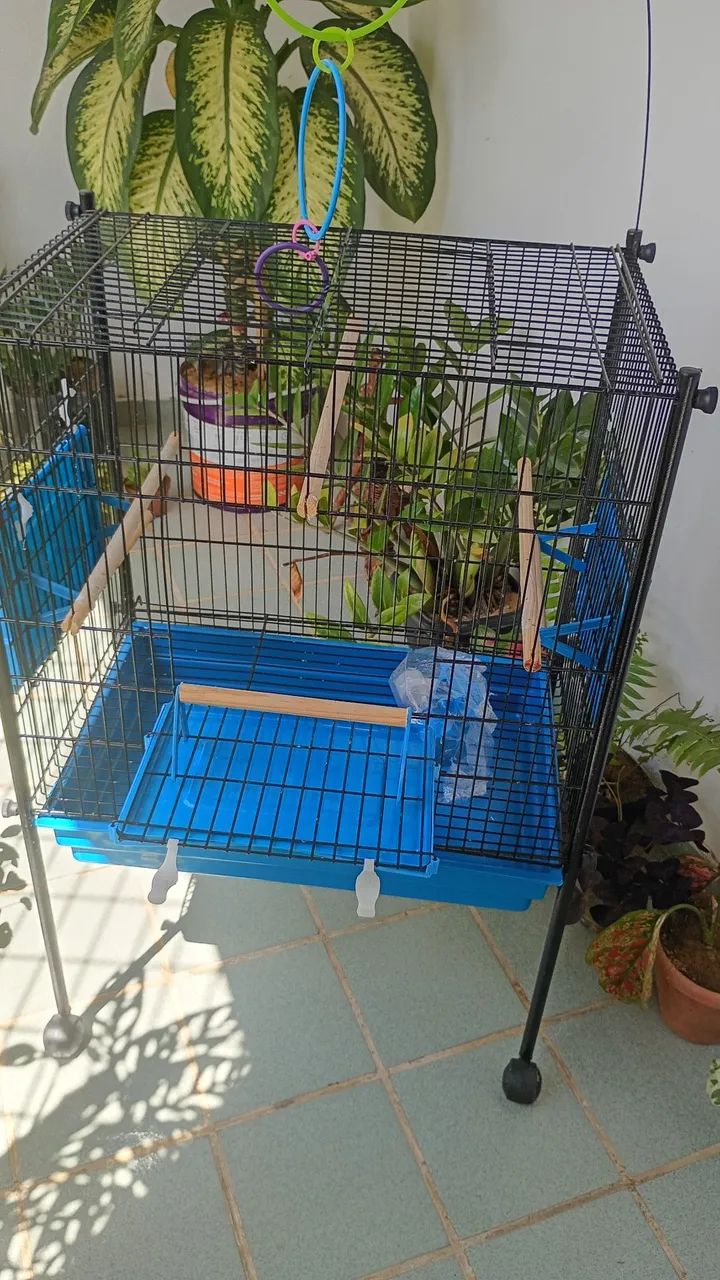 Gaiola para passarinho  - Foto 4