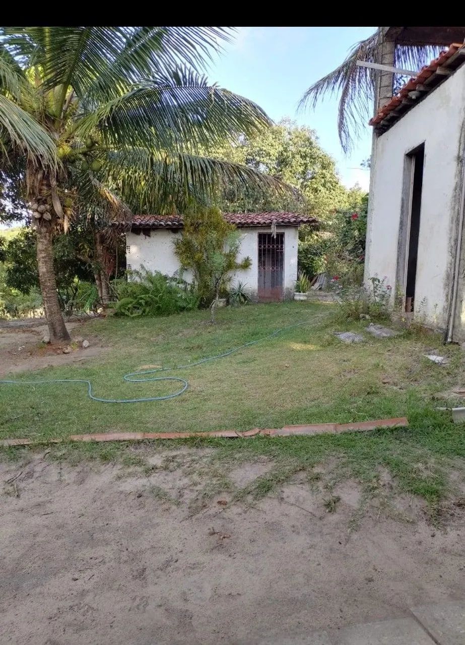 Granja no conde  - Foto 4