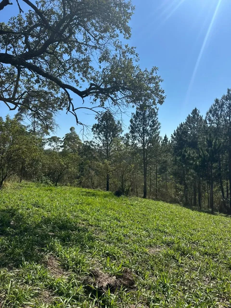 Lotes de 500 e 1.000 m² em Mairinque - Foto 5