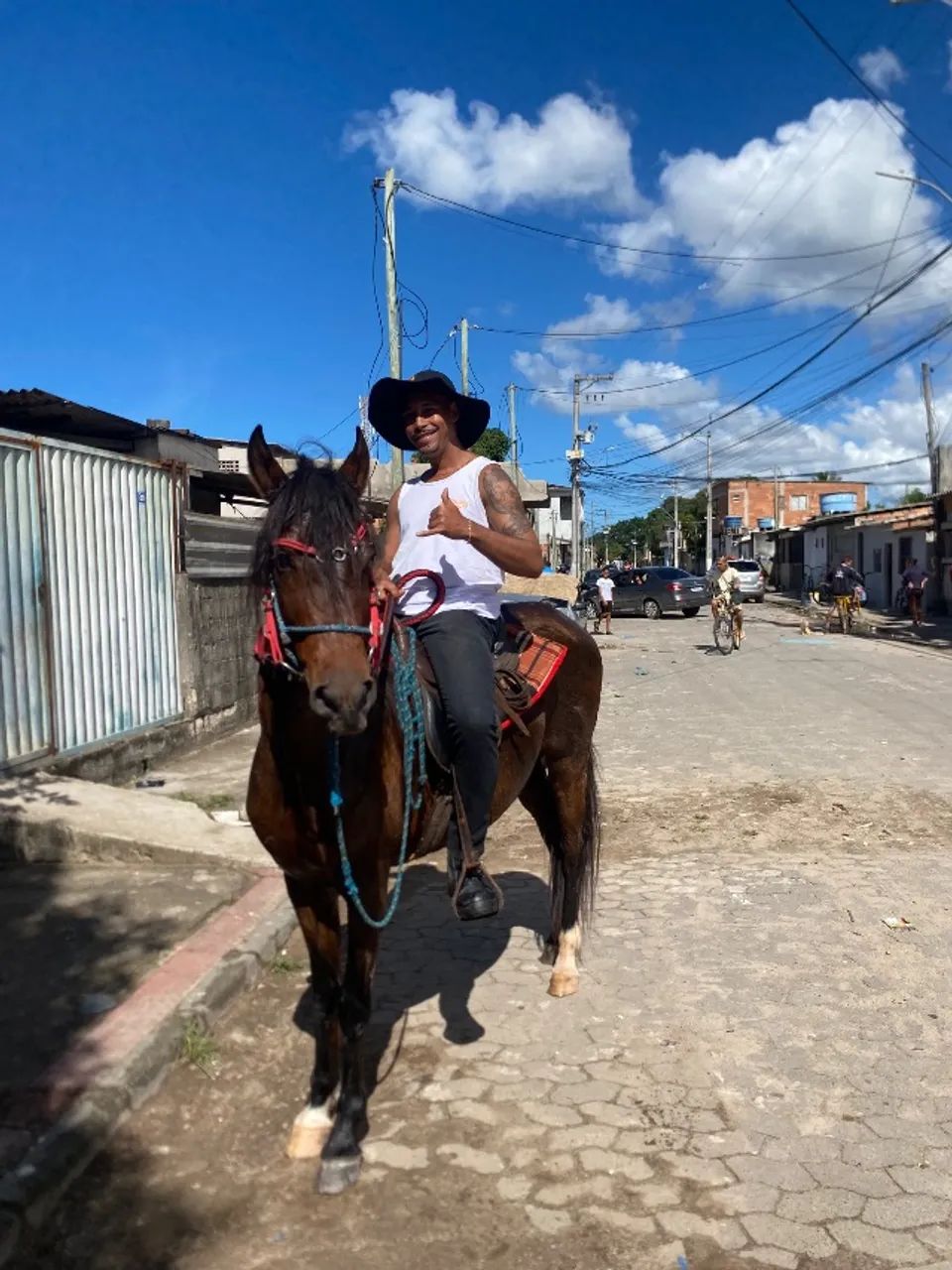 Cavalos - Foto 2