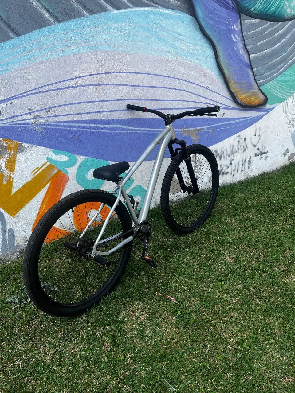 Bike ksw 2024 - Foto 4