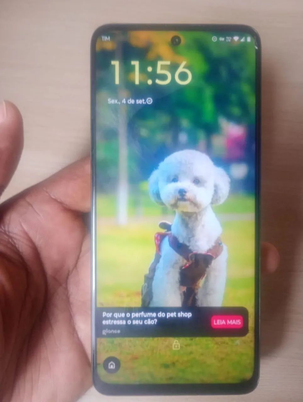 Moto g 15 